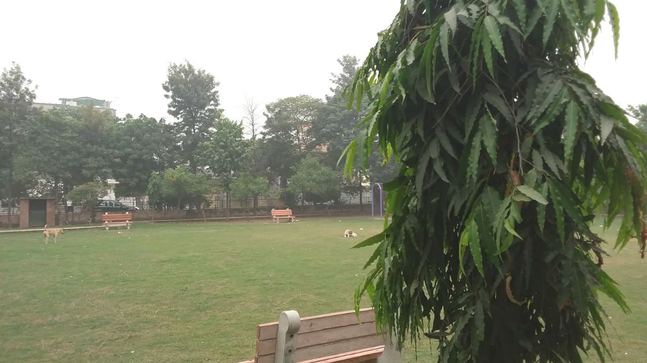 Photo of Outdoor in Greater Noida