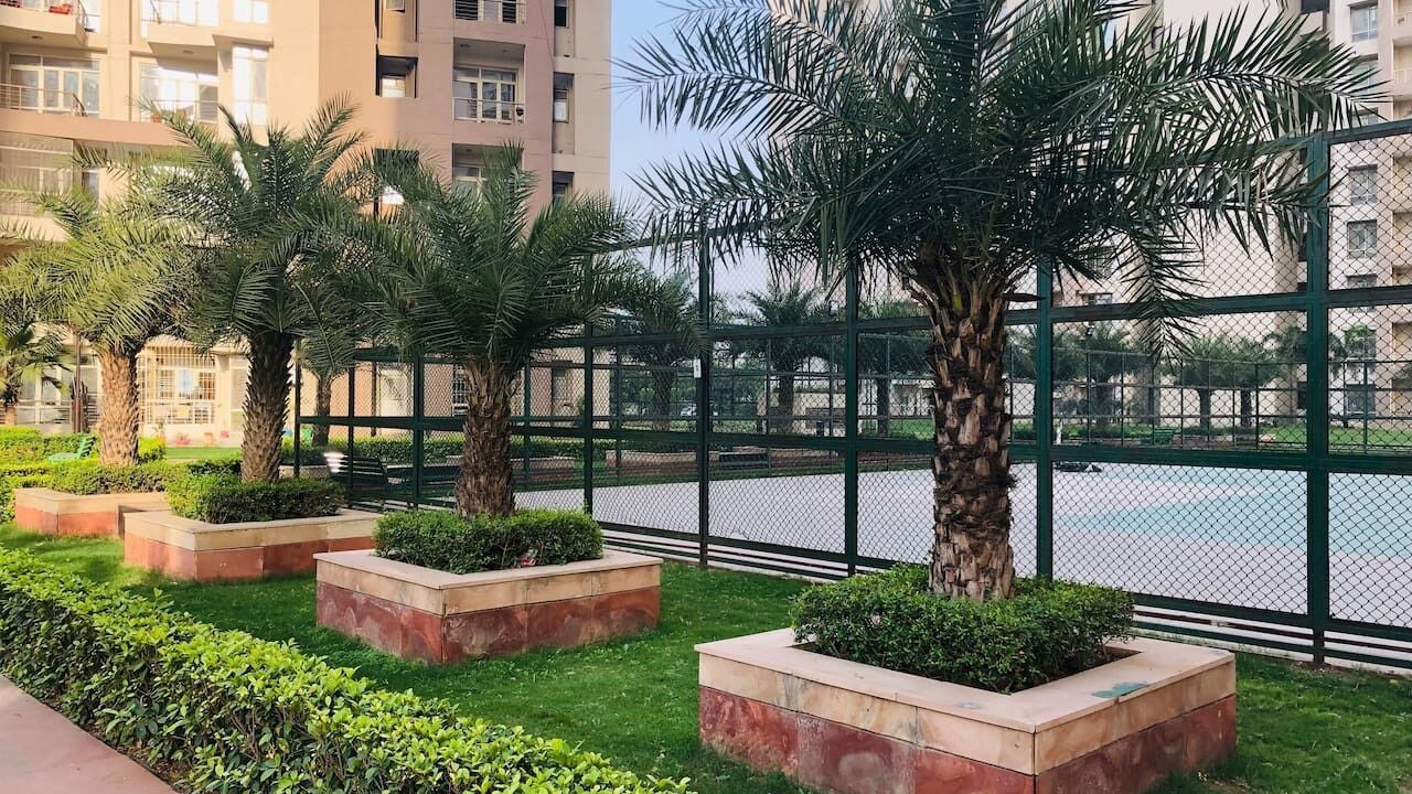 Photo of Outdoor in Greater Noida