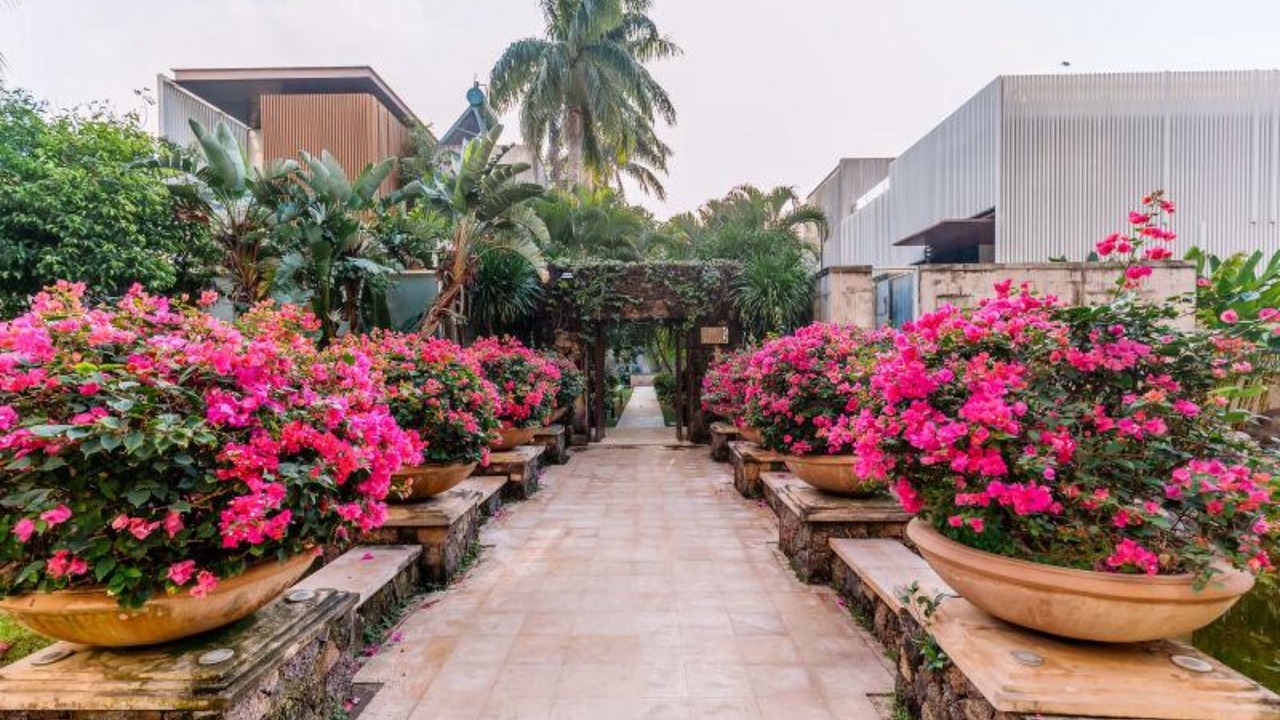 Photo of Outdoor in Sanya