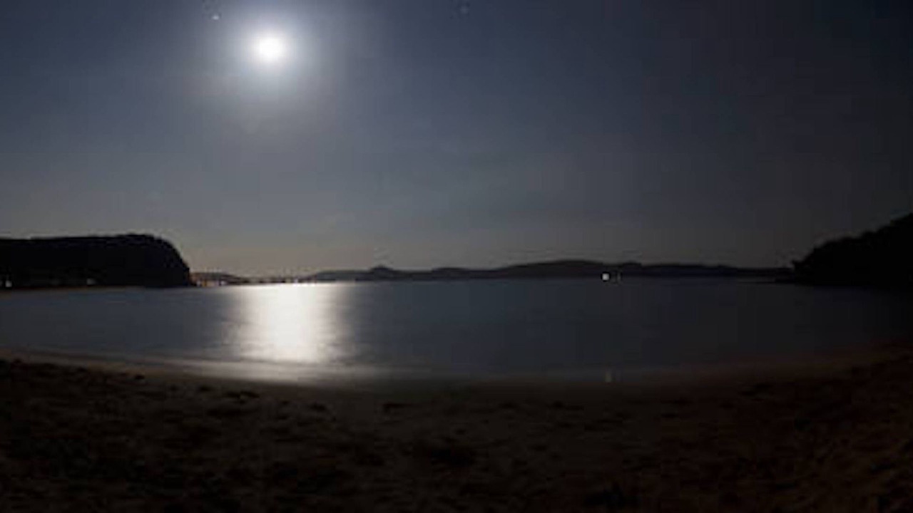 Photo of Others in Pearl Beach