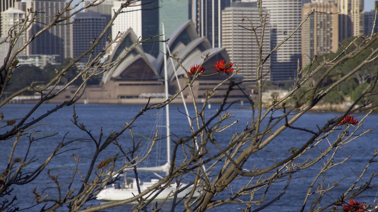 Photo of Others in Cremorne Point