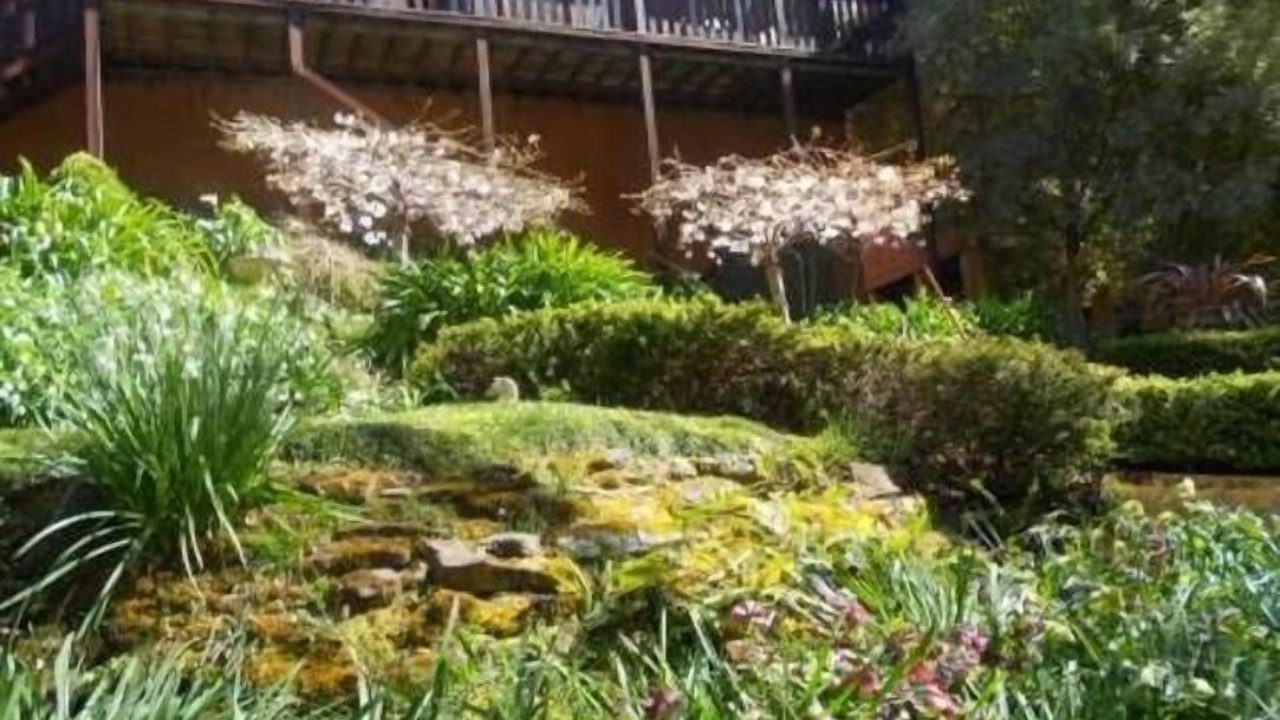 Photo of Outdoor in Leura