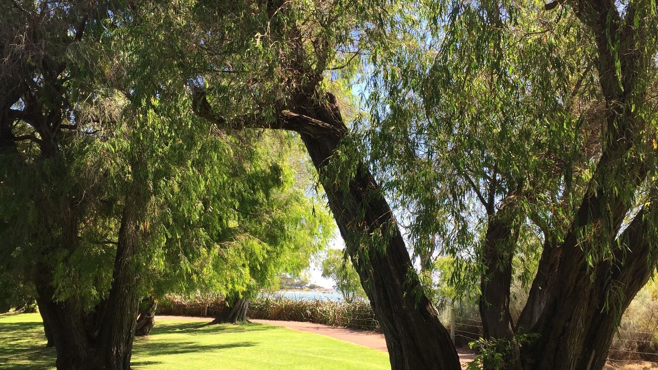 Photo of Outdoor in Dunsborough