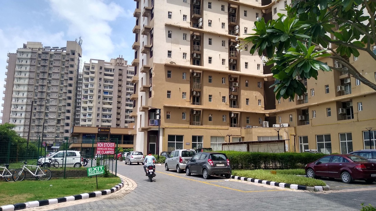 Photo of Outdoor in Noida