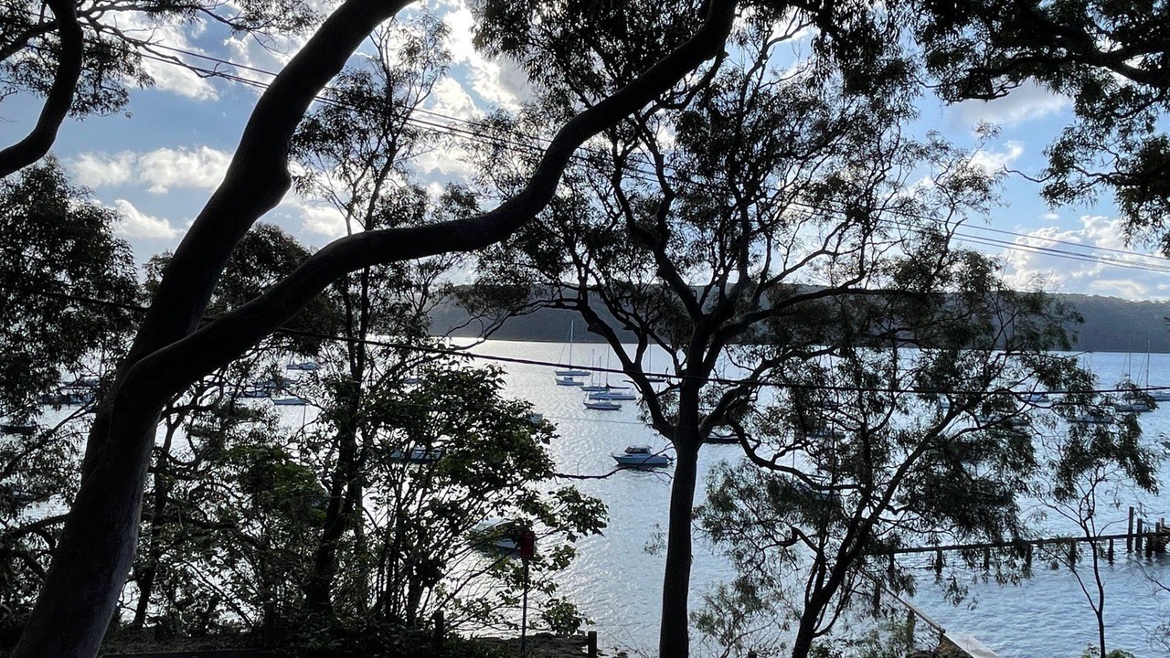 Photo of Others in Avalon Beach