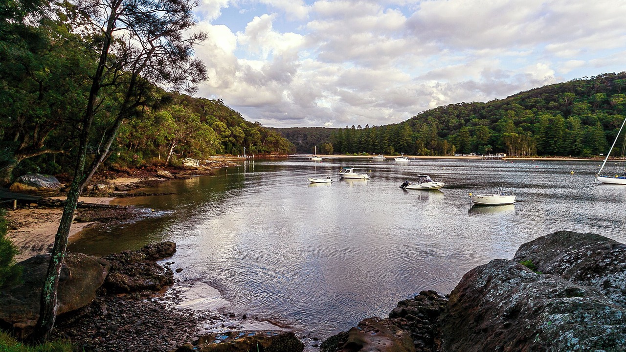 Photo of Others in Sydney