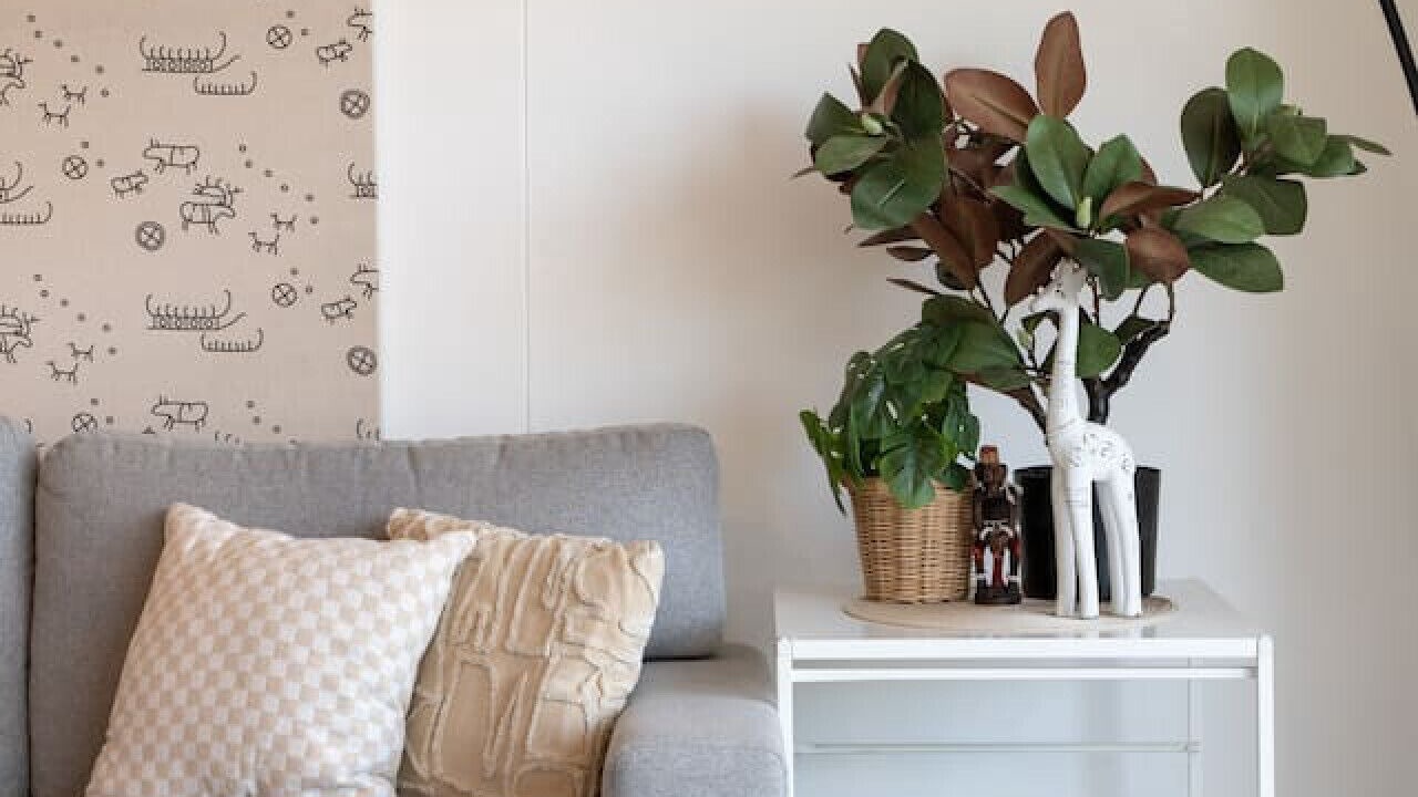 Photo of Livingroom in Rushcutters Bay