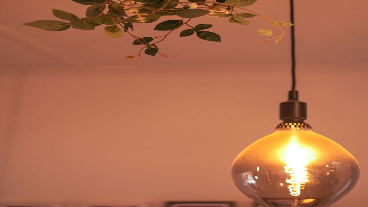 Photo of Bedroom in Erskineville