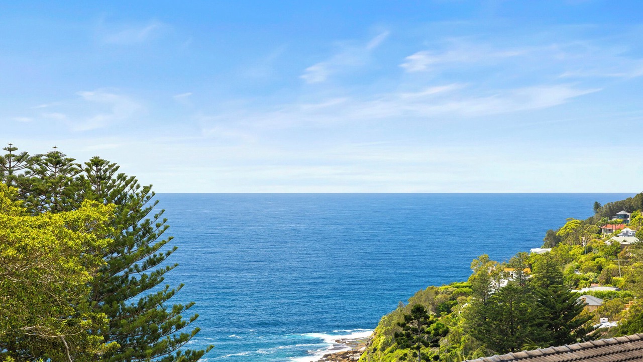 Photo of Others in Avalon Beach