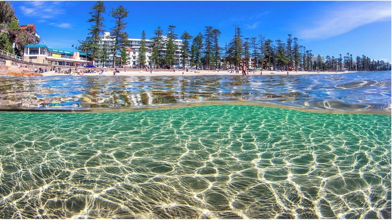 Photo of Others in Brookvale