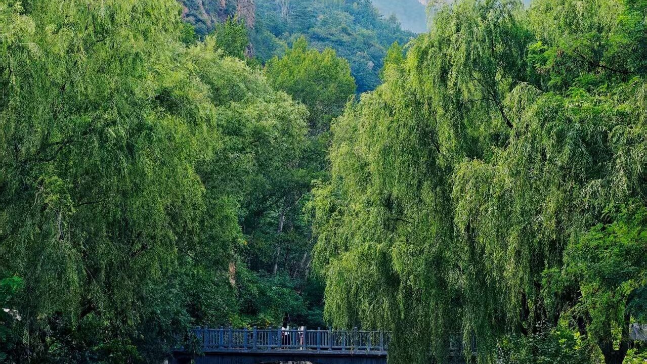 Photo of Others in Chengde