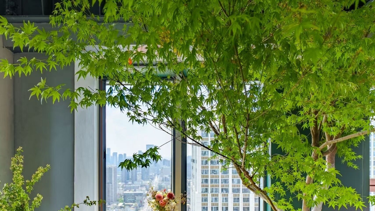 Photo of Livingroom in Chengdu City Centre