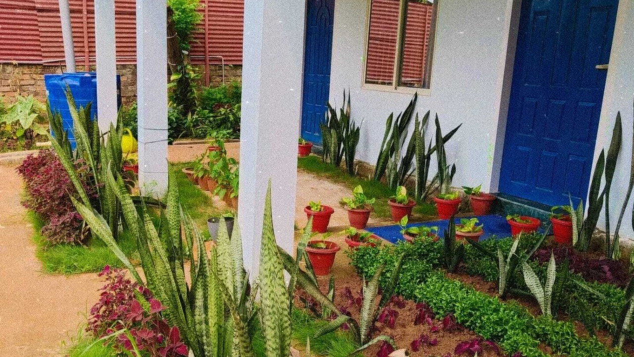 Photo of Outdoor in Sualkuchi