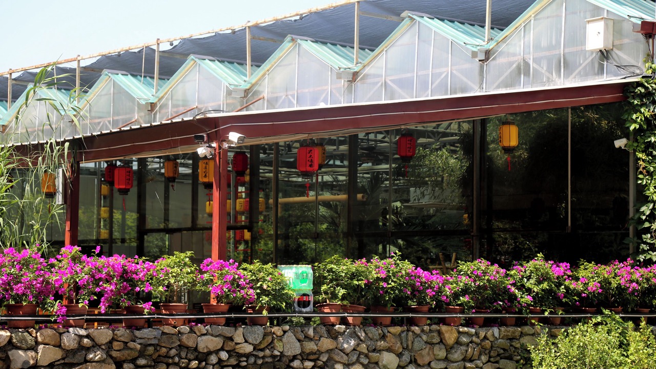 Photo of Outdoor in Huairou
