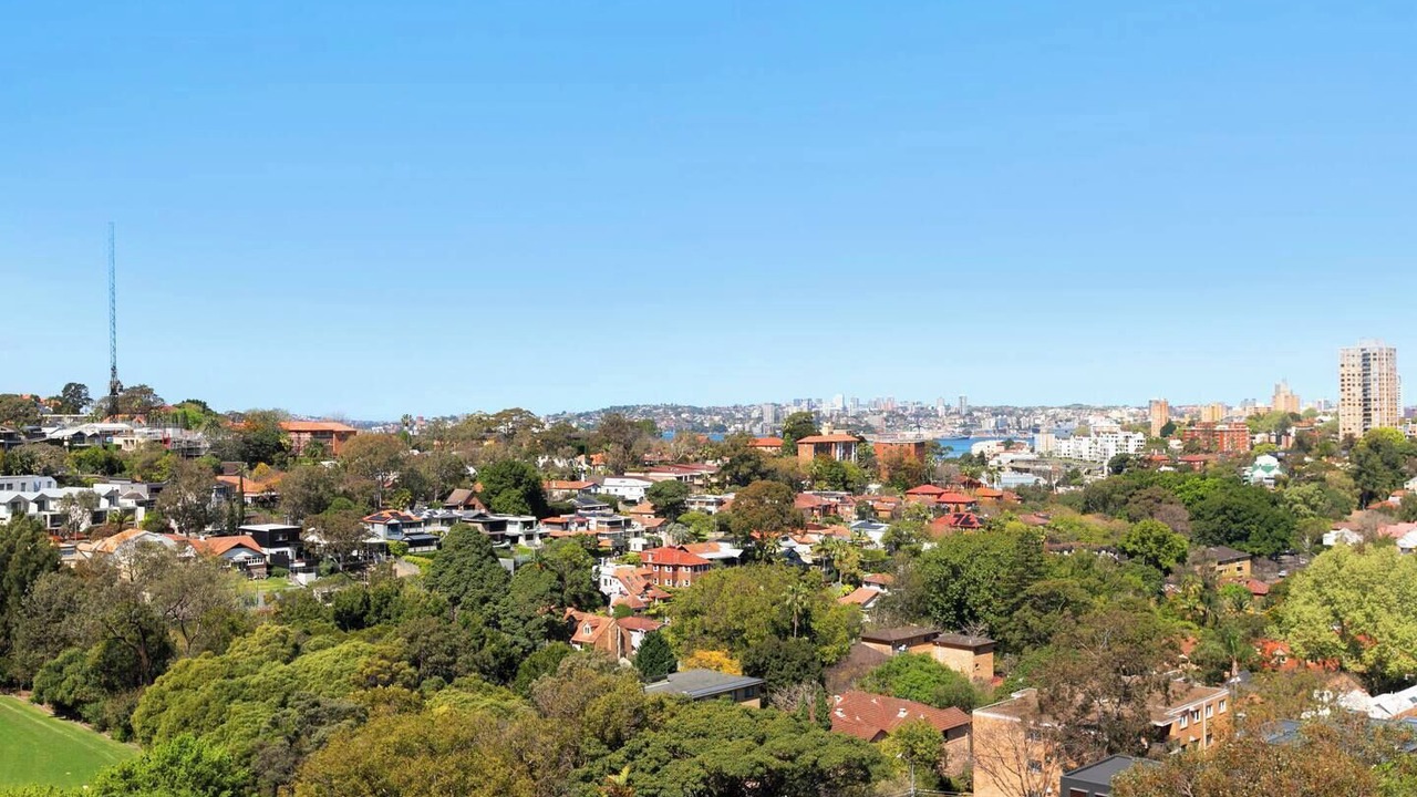 Photo of Others in Neutral Bay