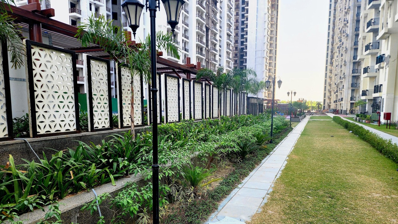 Photo of Outdoor in Noida
