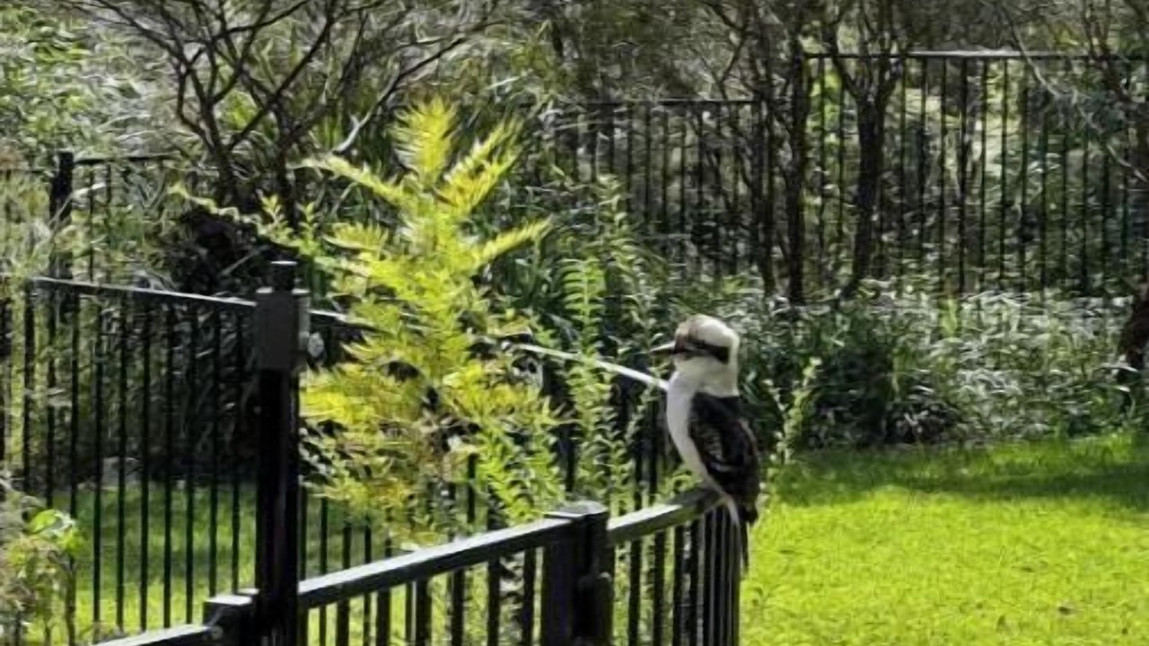 Photo of Outdoor in Lindfield