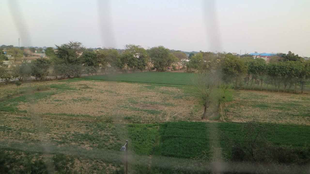 Photo of Others in Taj Ganj