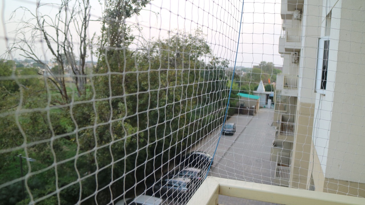 Photo of Outdoor in Taj Ganj