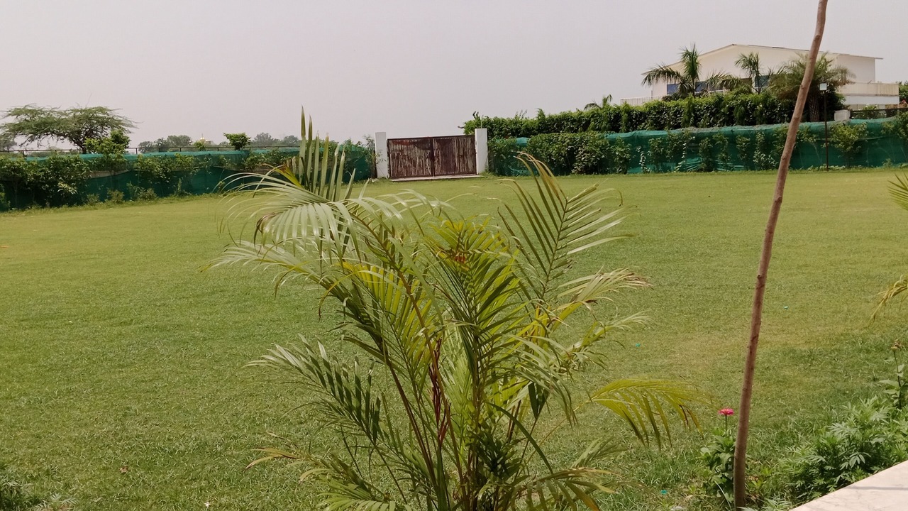 Photo of Outdoor in Noida