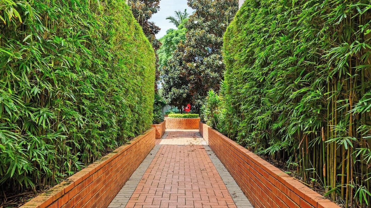 Photo of Outdoor in Erskineville