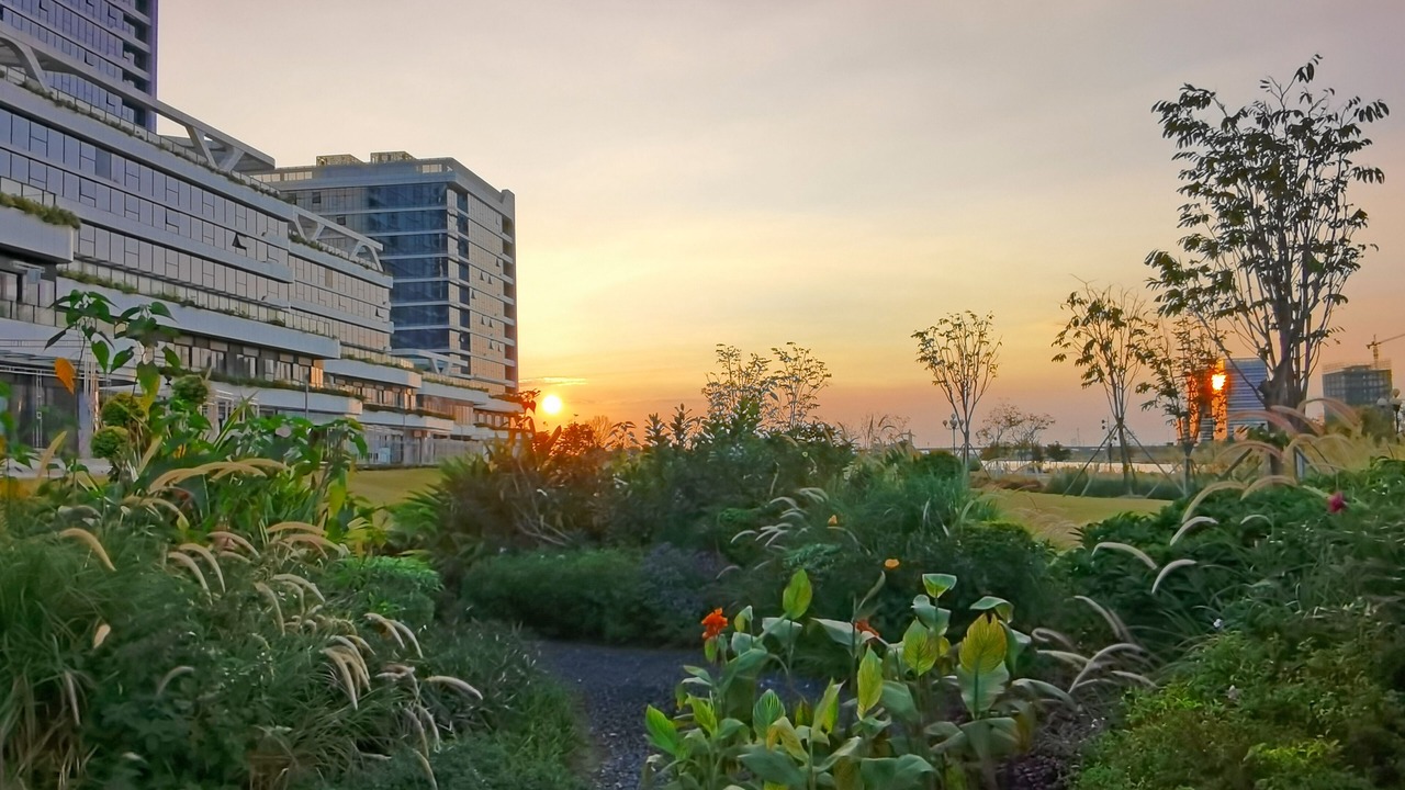 Photo of Outdoor in Hengqin
