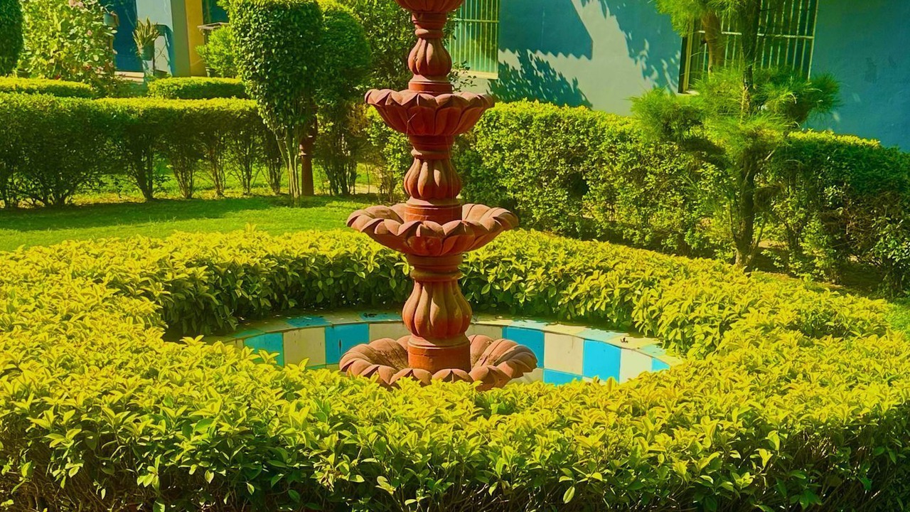 Photo of Outdoor in Noida