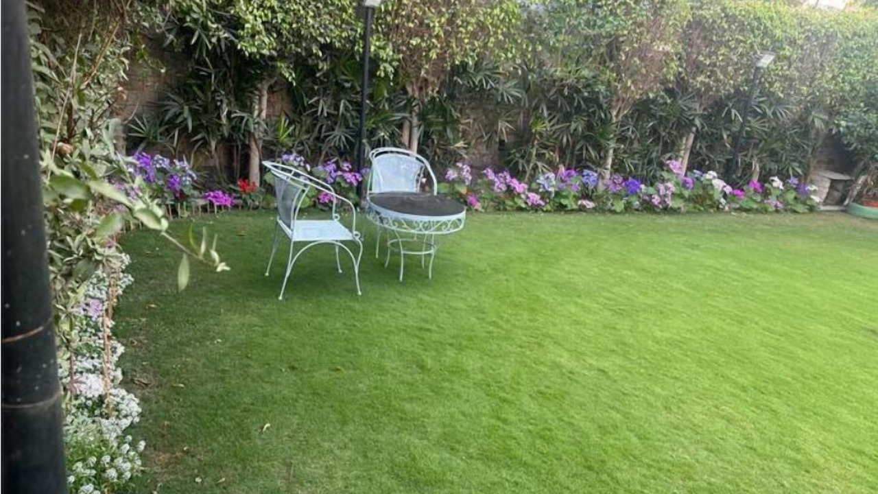 Photo of Outdoor in Noida