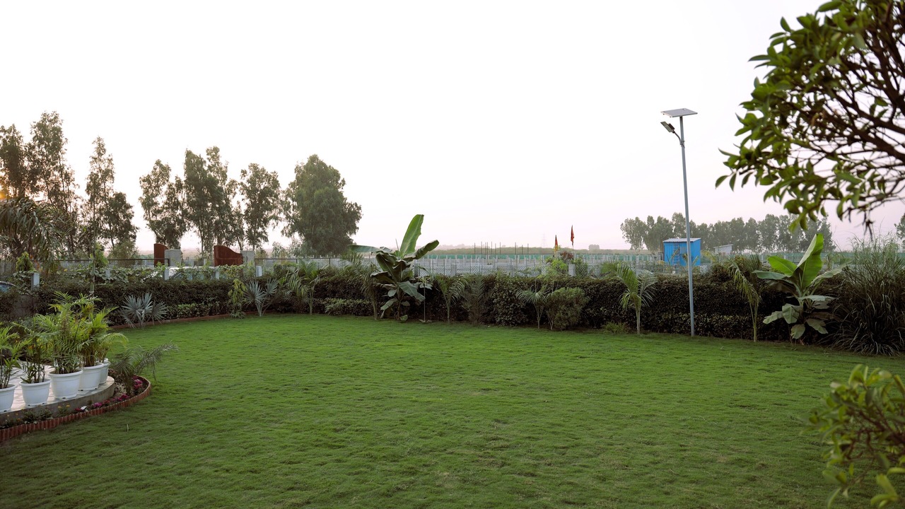 Photo of Outdoor in Noida