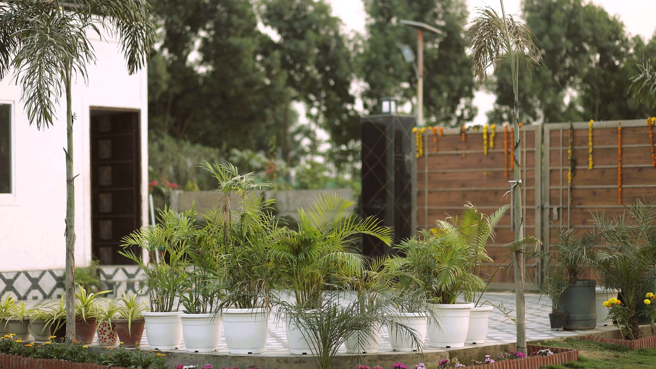 Photo of Outdoor in Noida