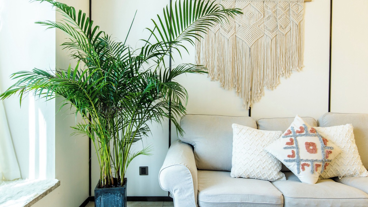 Photo of Livingroom in Panyu