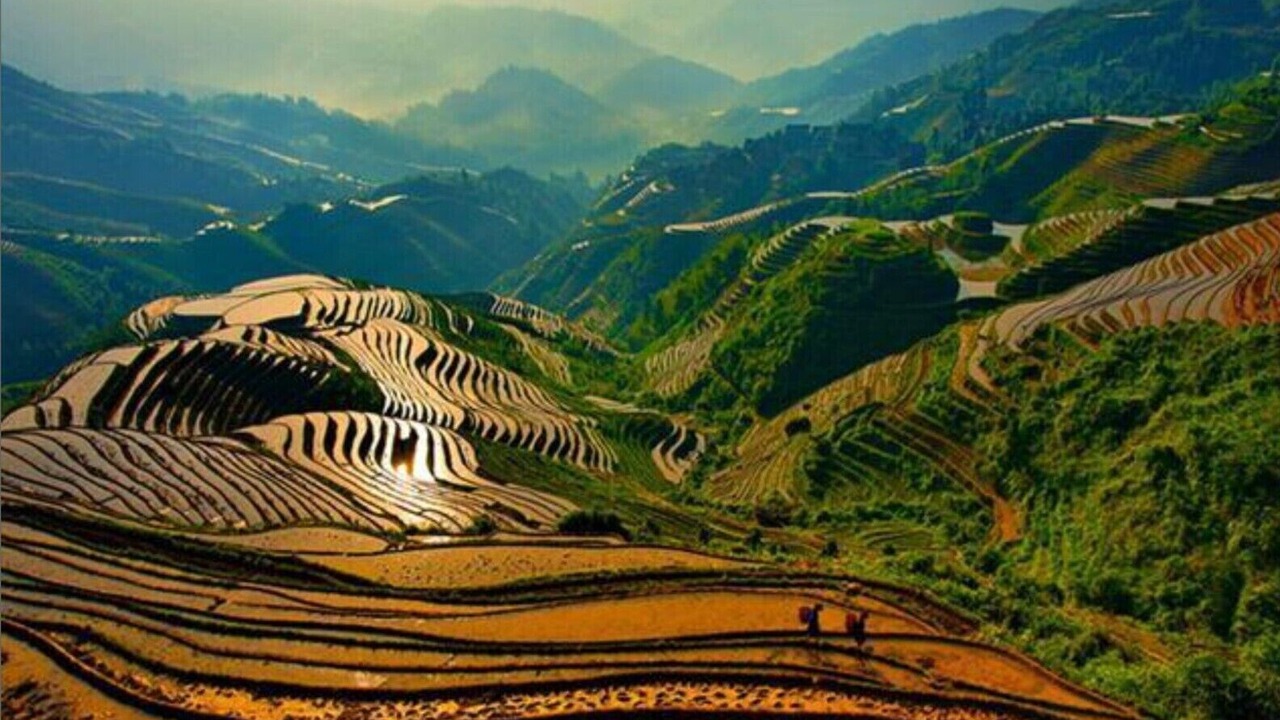 Photo of Others in Lingui