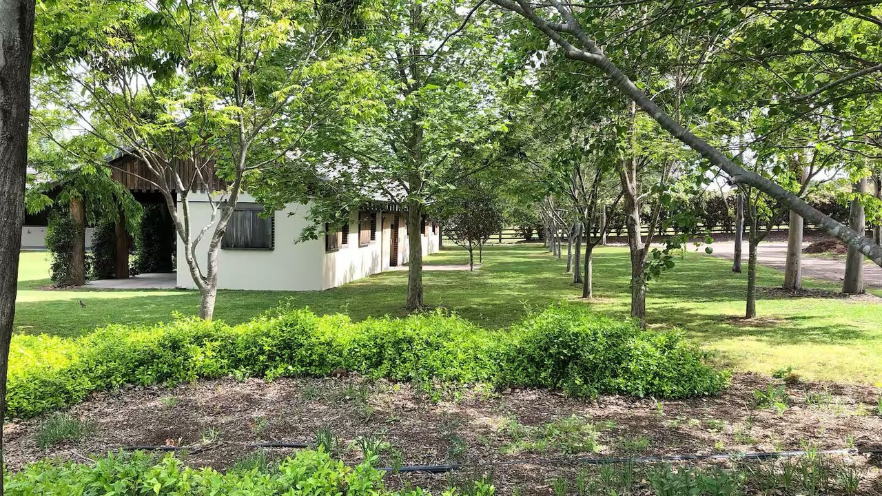 Photo of Outdoor in Richmond Lowlands