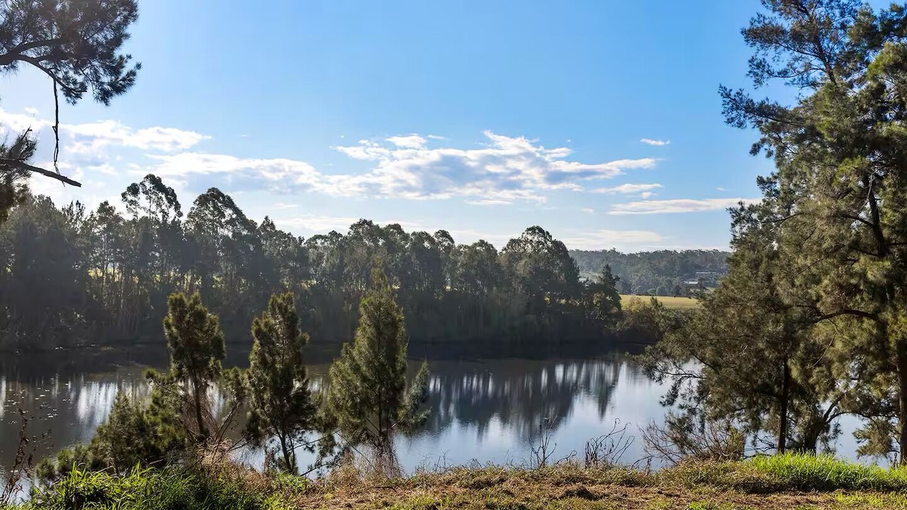 Photo of Others in Richmond Lowlands
