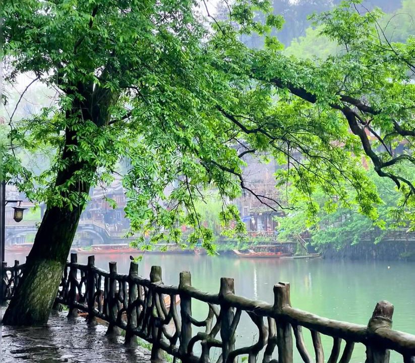 Photo of Others in Fenghuang