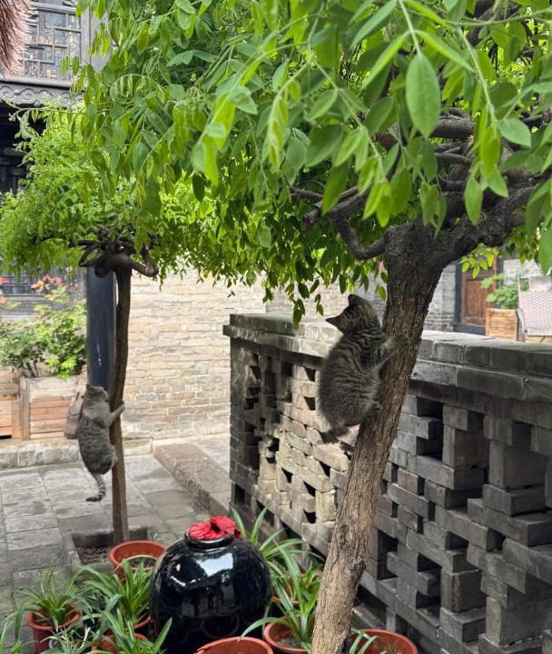 Photo of Others in Pingyao