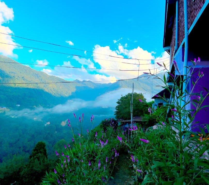 Photo of Others in Kohima