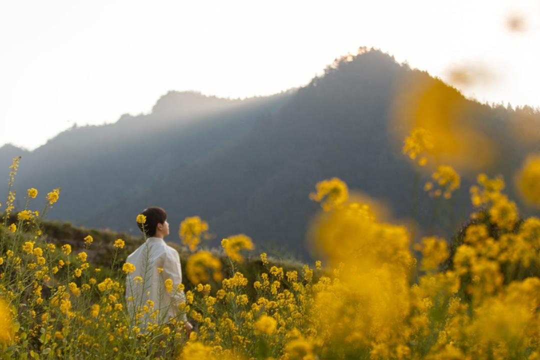 Photo of Others in Wulingyuan