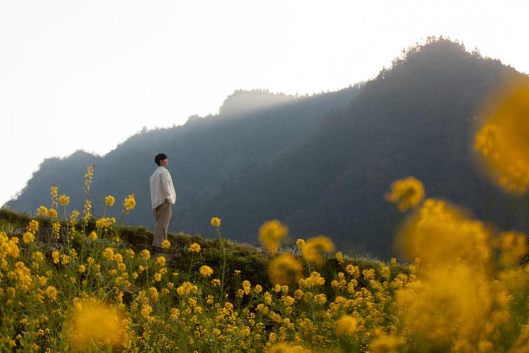 Photo of Others in Wulingyuan