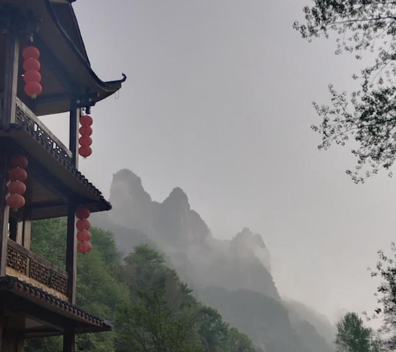 Photo of Others in Wulingyuan