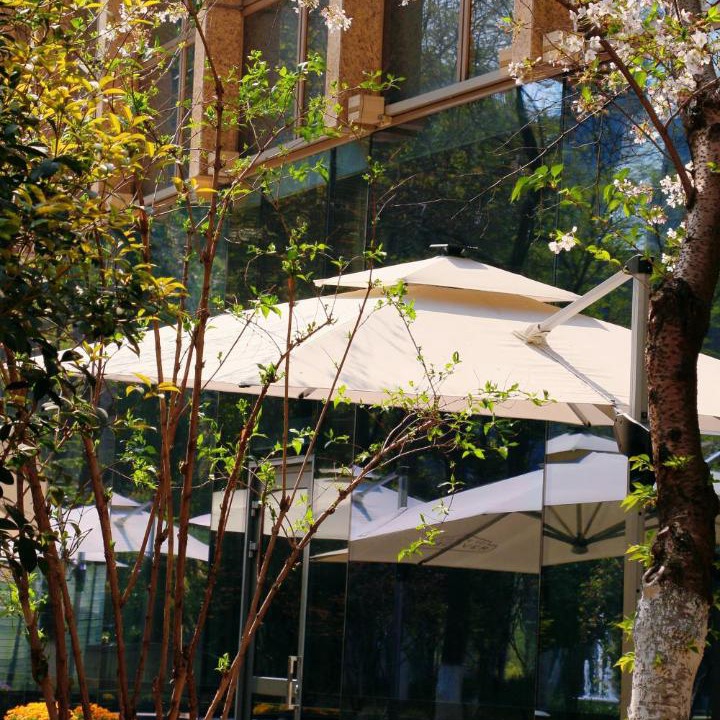 Photo of Others in Shangxinhe