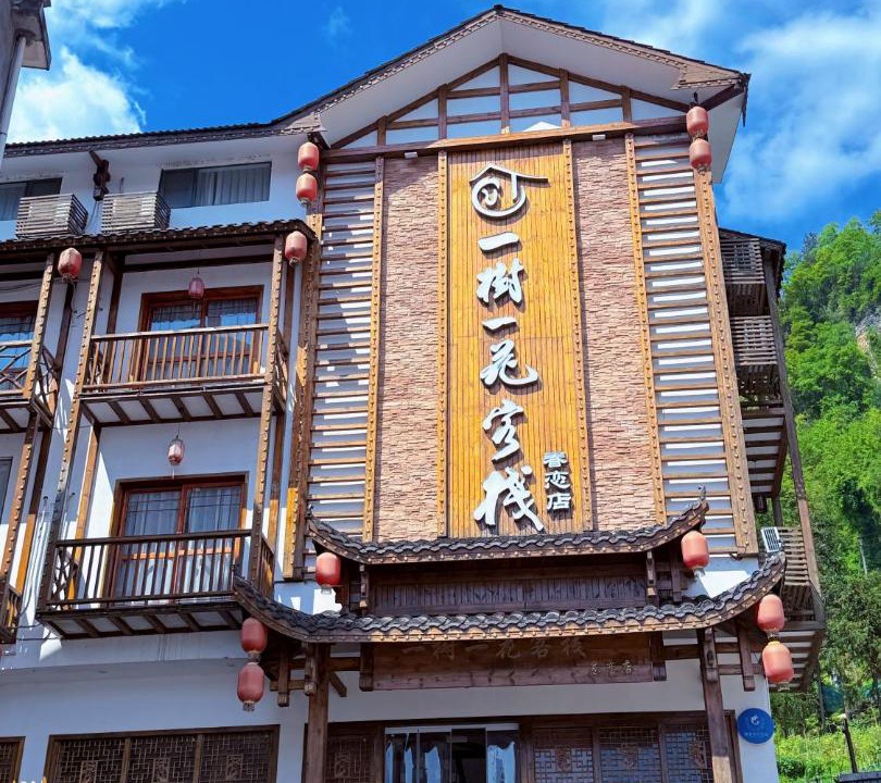 Photo of Others in Wulingyuan