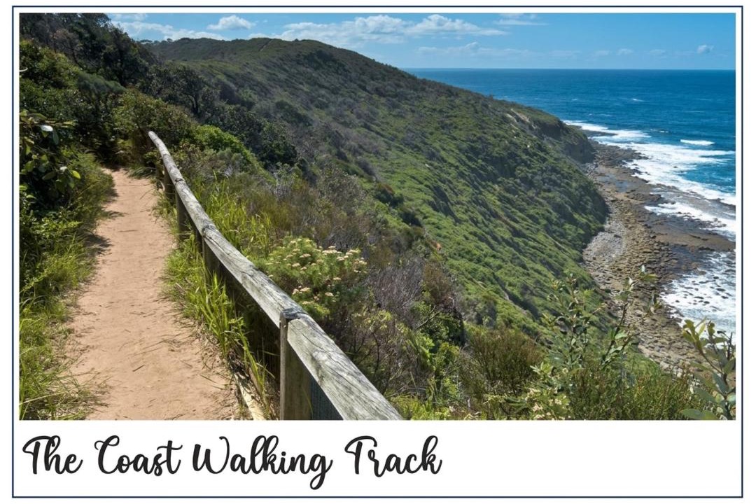 Photo of Others in Bateau Bay