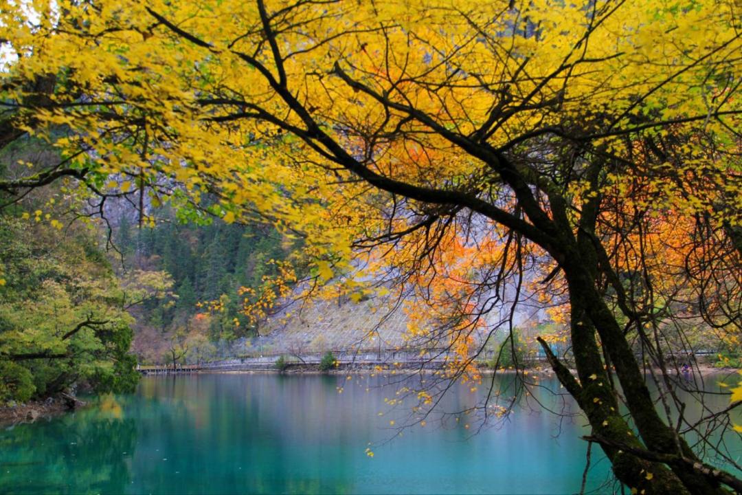 Photo of Others in Jiuzhaigou