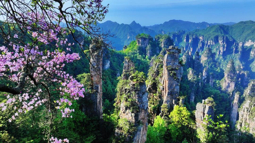 Photo of Others in Wulingyuan