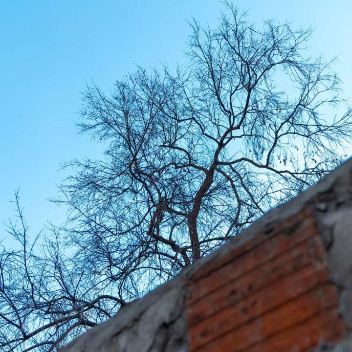 Photo of Others in Suzhou Old Town