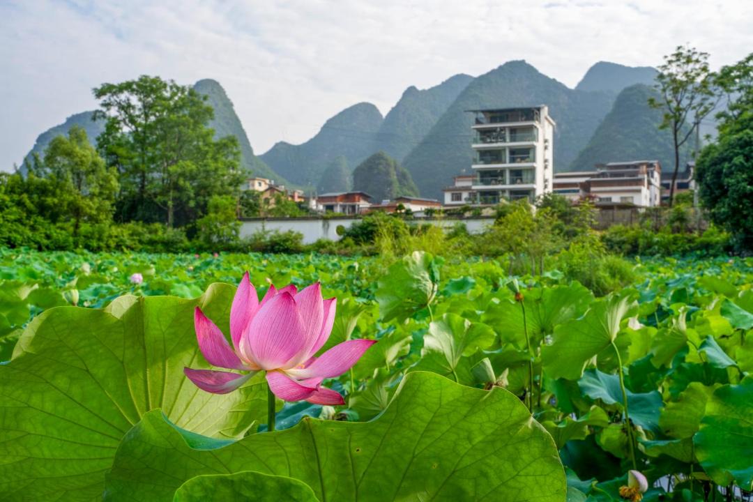 Photo of Others in Yangshuo