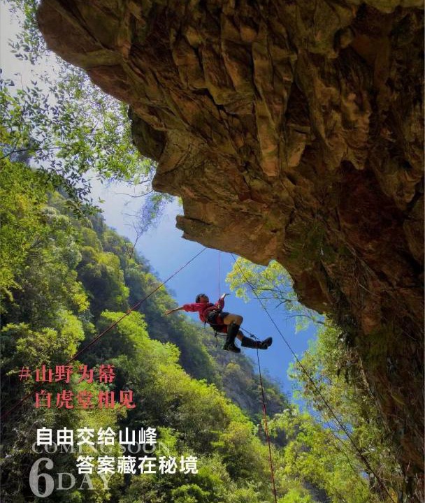 Photo of Others in Wulingyuan
