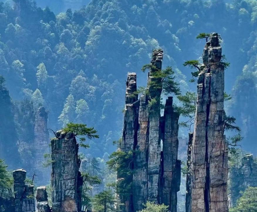 Photo of Others in Wulingyuan