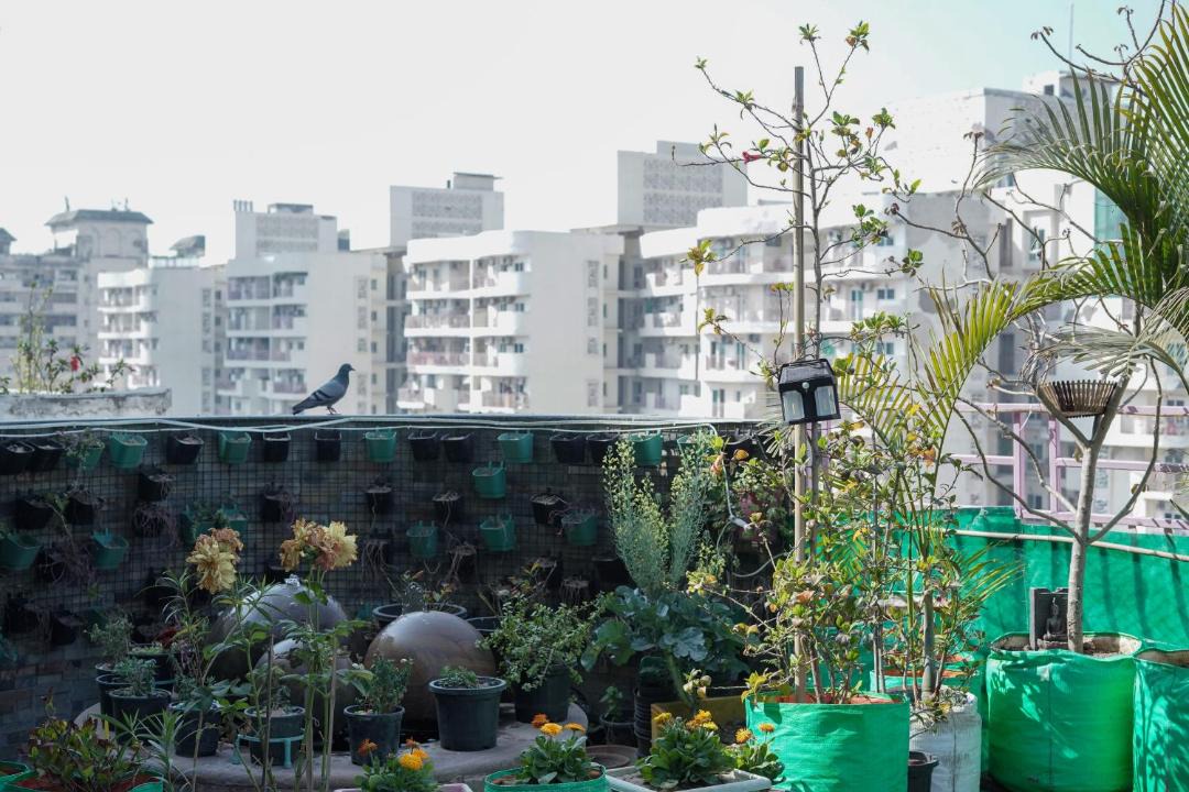 Photo of Others in Noida